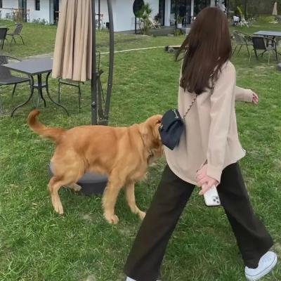 蛋糕合唱团