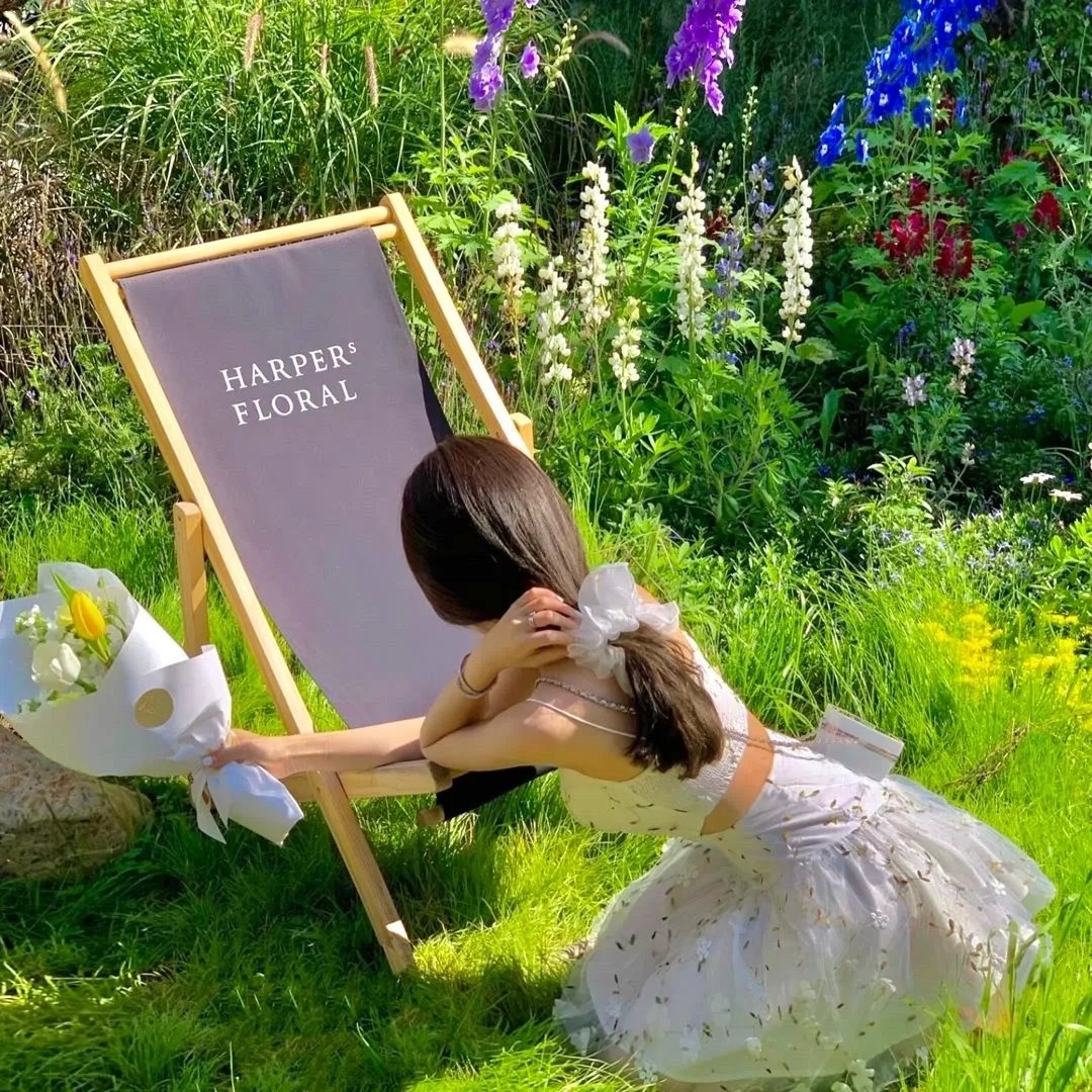 少帅我不要你了